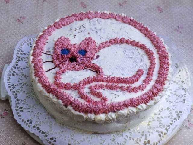 a_katze2.jpg (32553 Byte)